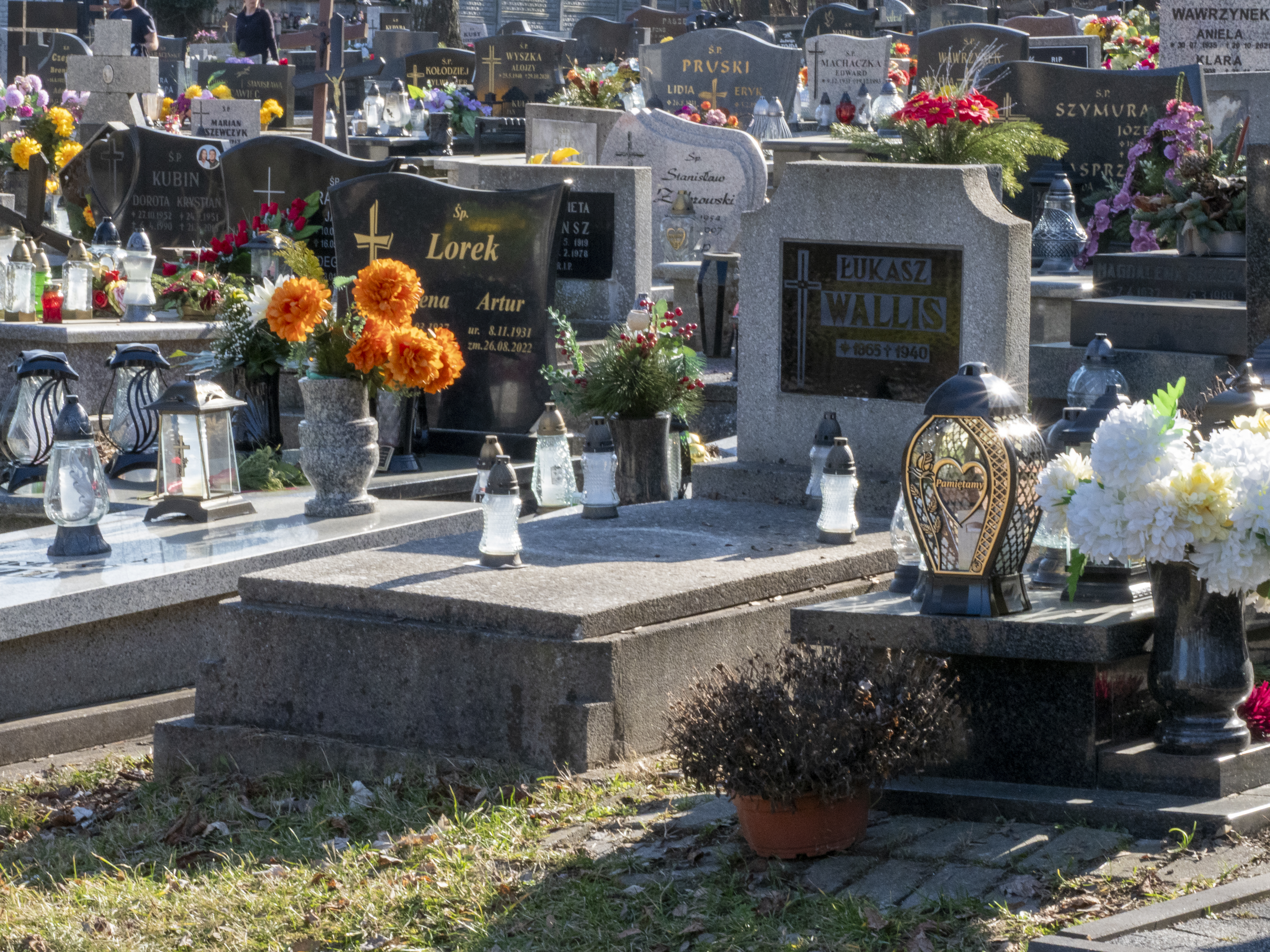 Exegi monumentum — dziedzictwo Wallisów (1)